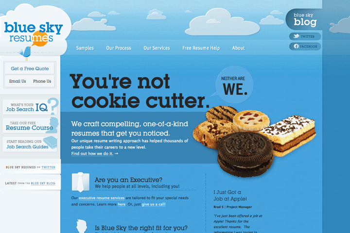 Blue Sky Resumes website preview